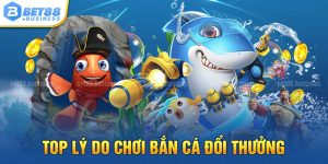 TOP LÝ DO CHƠI BẮN CÁ ĐỔI THƯỞNG