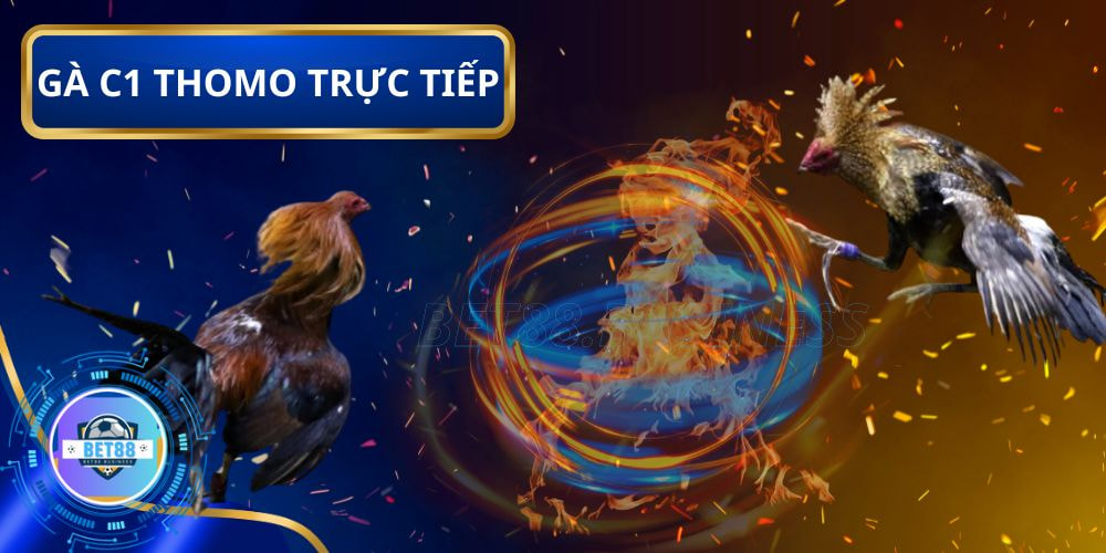 Quy tắc cược đá gà C1 trực tiếp