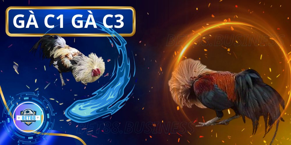 Đá gà C1 savan full HD sắc nét