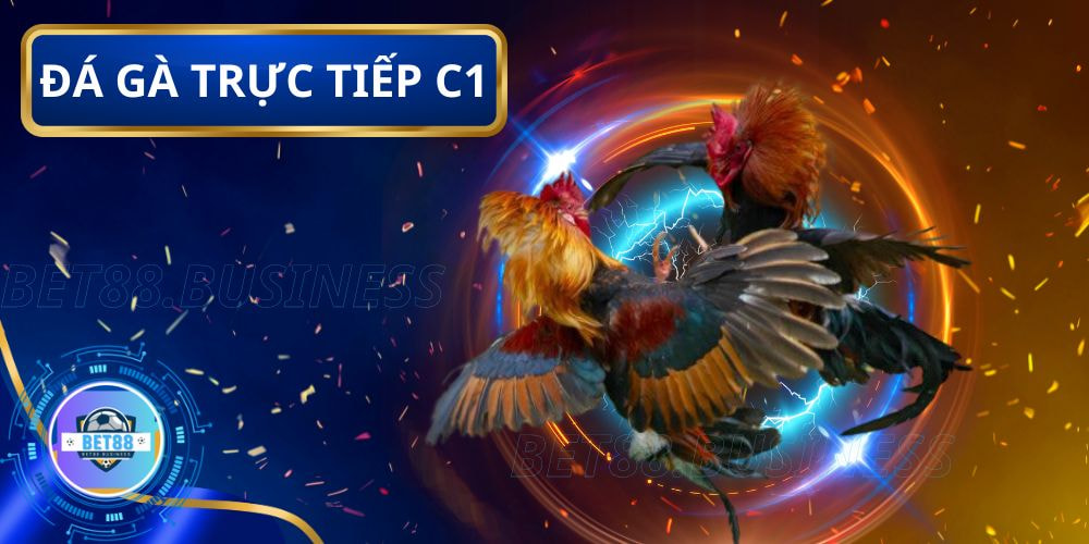 Hướng dẫn xem trực tiếp và vào kèo đá gà C1 tại Bet88