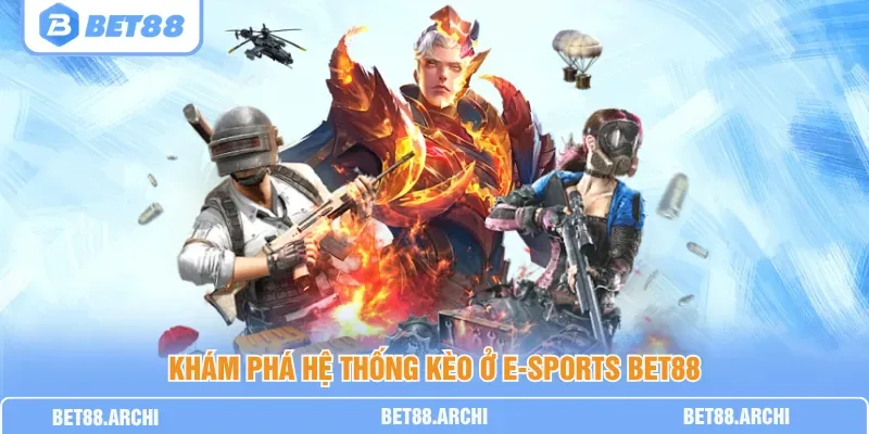 Điều khoản sử dụng Bet88 giúp hội viên nắm rõ quyền lợi và trách nhiệm