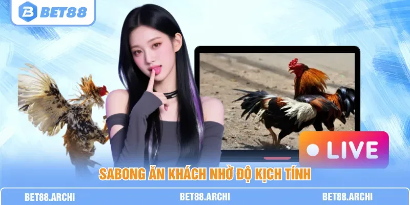 Hệ thống phát sóng trực tiếp trận chọi gà từ đối tác SV168 và SV128