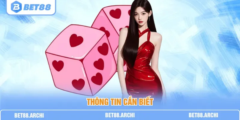 Người chơi mới theo dõi bảng lịch sử kết quả trước khi đặt cược