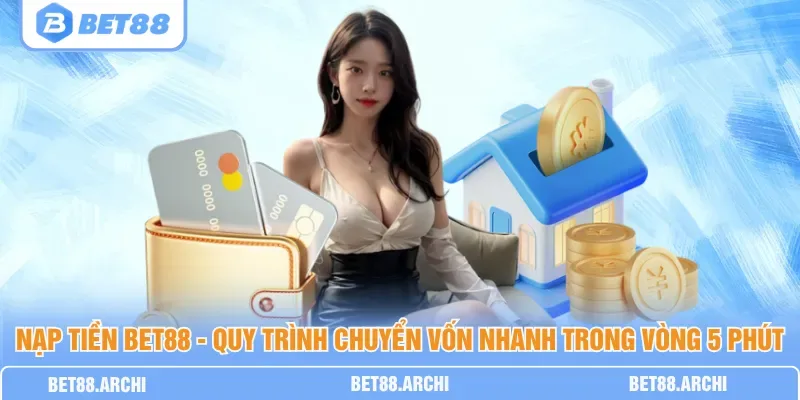 Nhập mã seri và thông tin thẻ cào theo hướng dẫn của cổng thanh toán